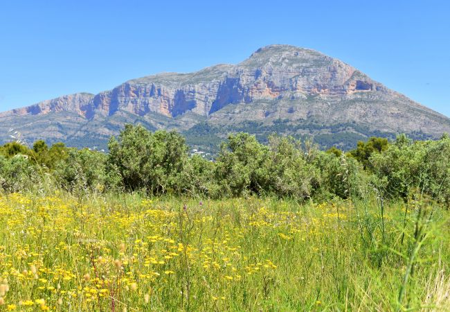 Chalet à Javea - Casa Delfin Javea - 5032