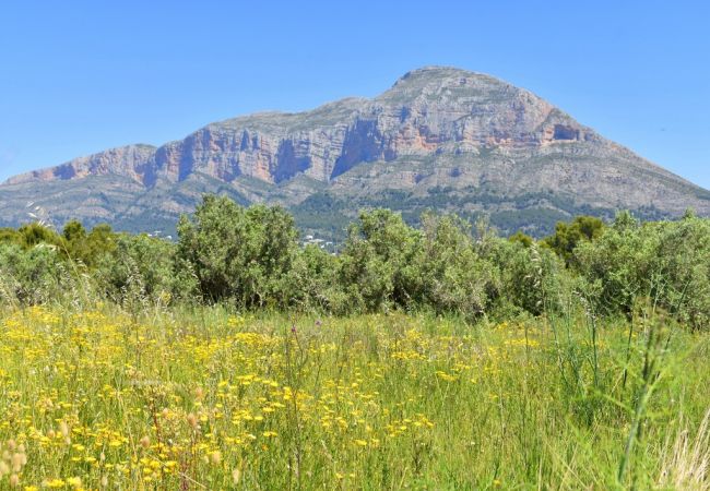 Chalet à Javea - Casa Cap Negre Javea - 5028